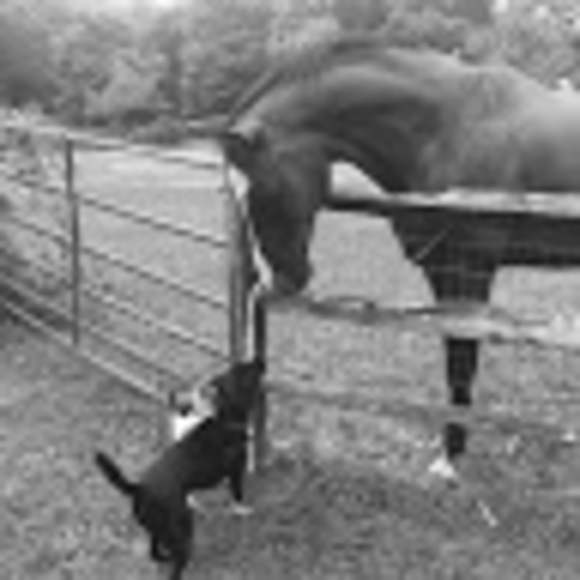 Meet your Posher, N123 - Picture 1 of 1